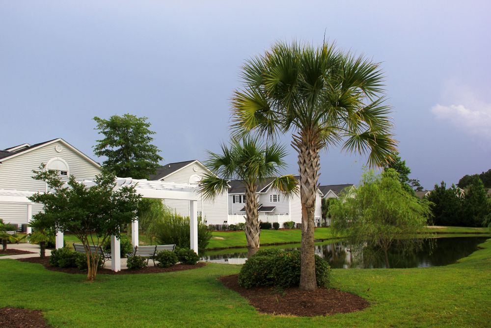 home with palm trees and lake in sarasota florida Pest Control Sarasota Florida
