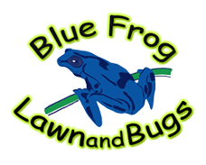 blue frog logo free estimate