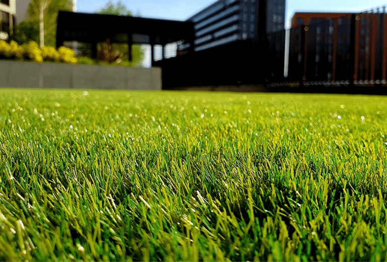 Sarasota Lawn Company