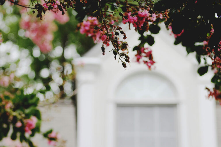Read more about the article Why Springtime Is The Best Time To Hire A Sarasota Pest Control Company 