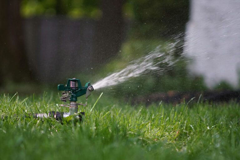 Read more about the article What Should My Sarasota Pest Control Look Like In Rainy Season?