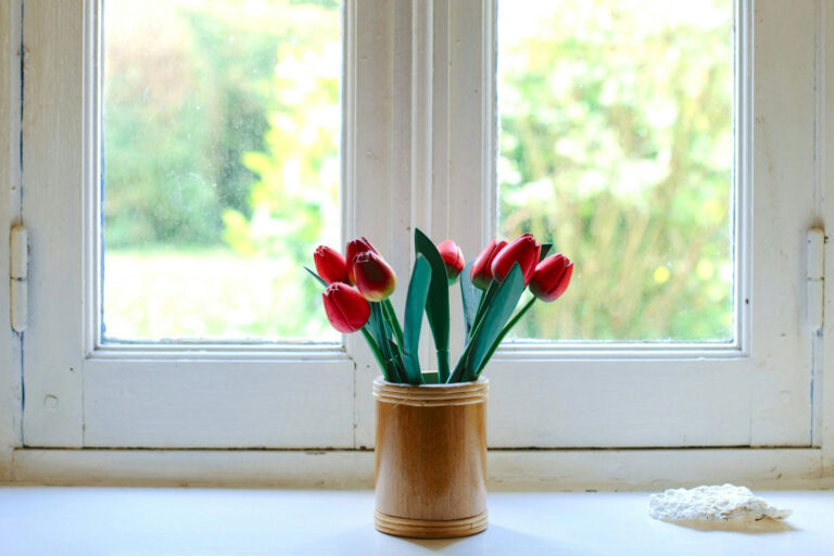 Tulips in window Sarasota Pest Control