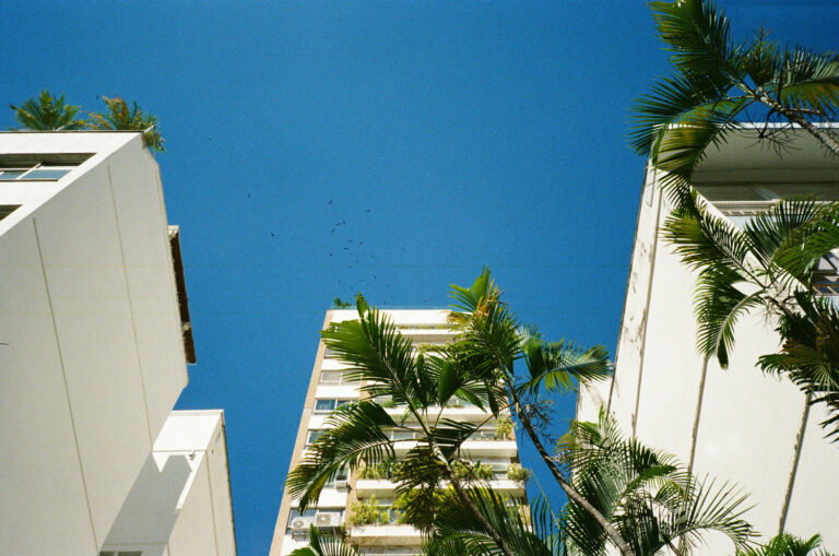 apartments in sarasota florida Sarasota Pest Control