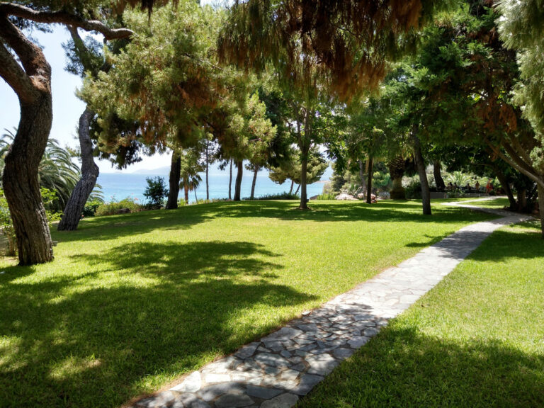 Sarasota Lawn Care Company