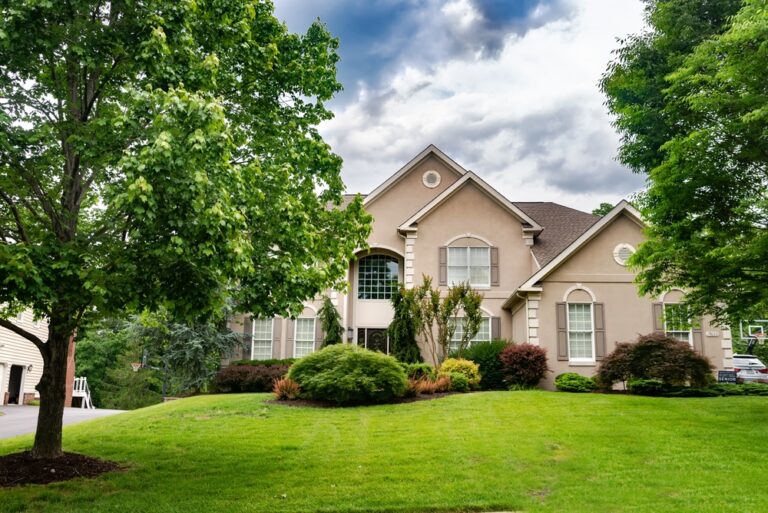 green lawn