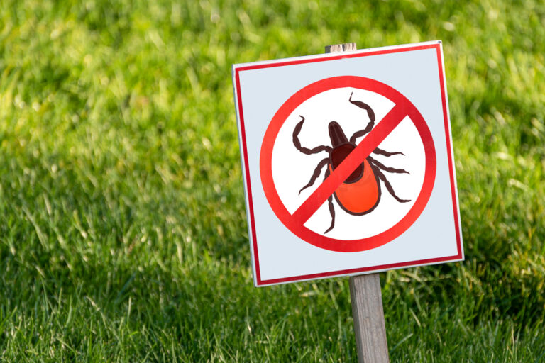 sign with bug with slash through it Pest control sarasota