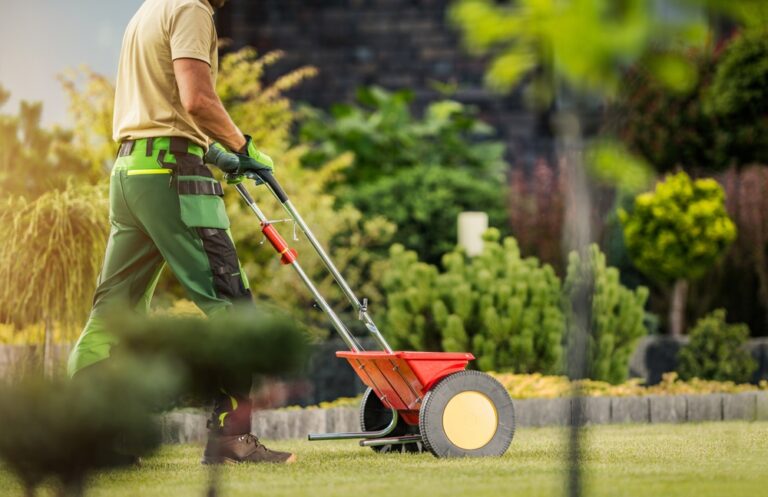 man fertilizing lawn lawn fertilization sarasota fl