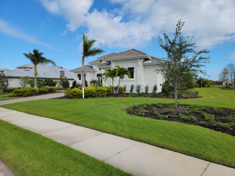 Professional lawn fertilization service helping restore a healthy Sarasota lawn care in October